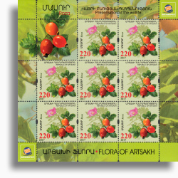  ARH 60.2 / sheetlet 