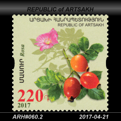  220 Dram / Rosa