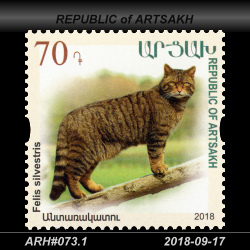  70 Dram / felis silvestris 