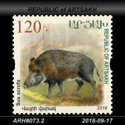  120 Dram / Sus scrofa 